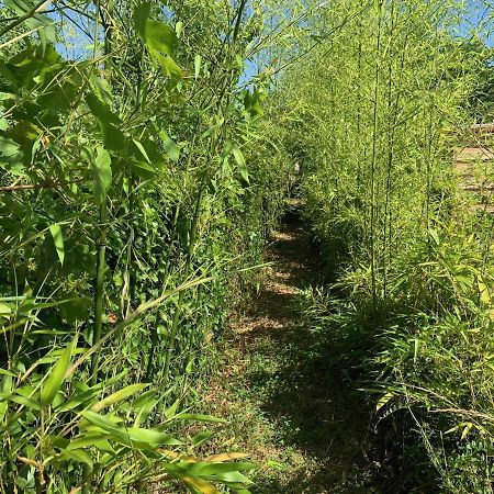 Cabane Bambou Huriel Ngoại thất bức ảnh